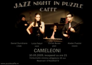 cameleoni_puzzle