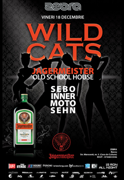 Friday 18 December Sebo Inner Moto Sehn @ Zebra Club Bacau