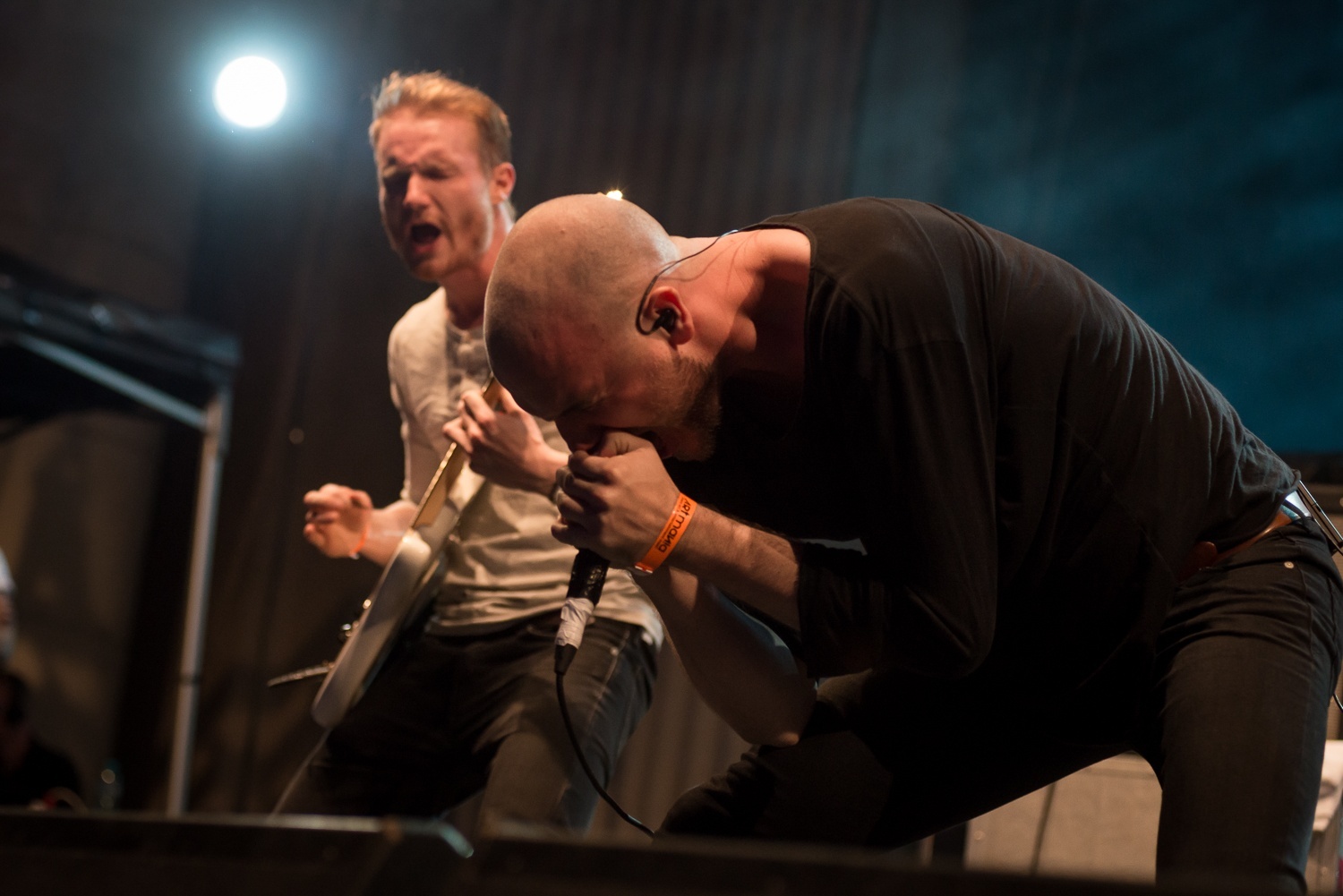 Agent Fresco - Foto: Florin Matincă